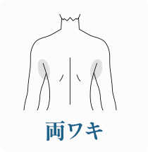 両わき
