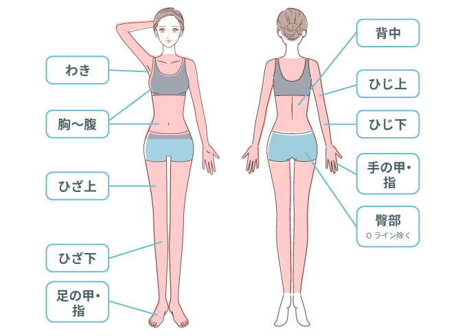 ミセルクリニック岸和田院（ただおかメディカルクリニック併設美容皮膚科）の全身脱毛の部位対応エリア